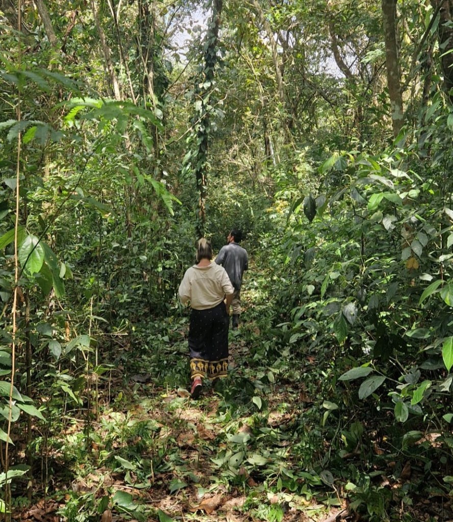 A man and a woman walking in the jungle